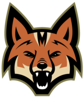 Fayetteville Marksmen