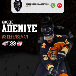 Ayodele Adeniye called up